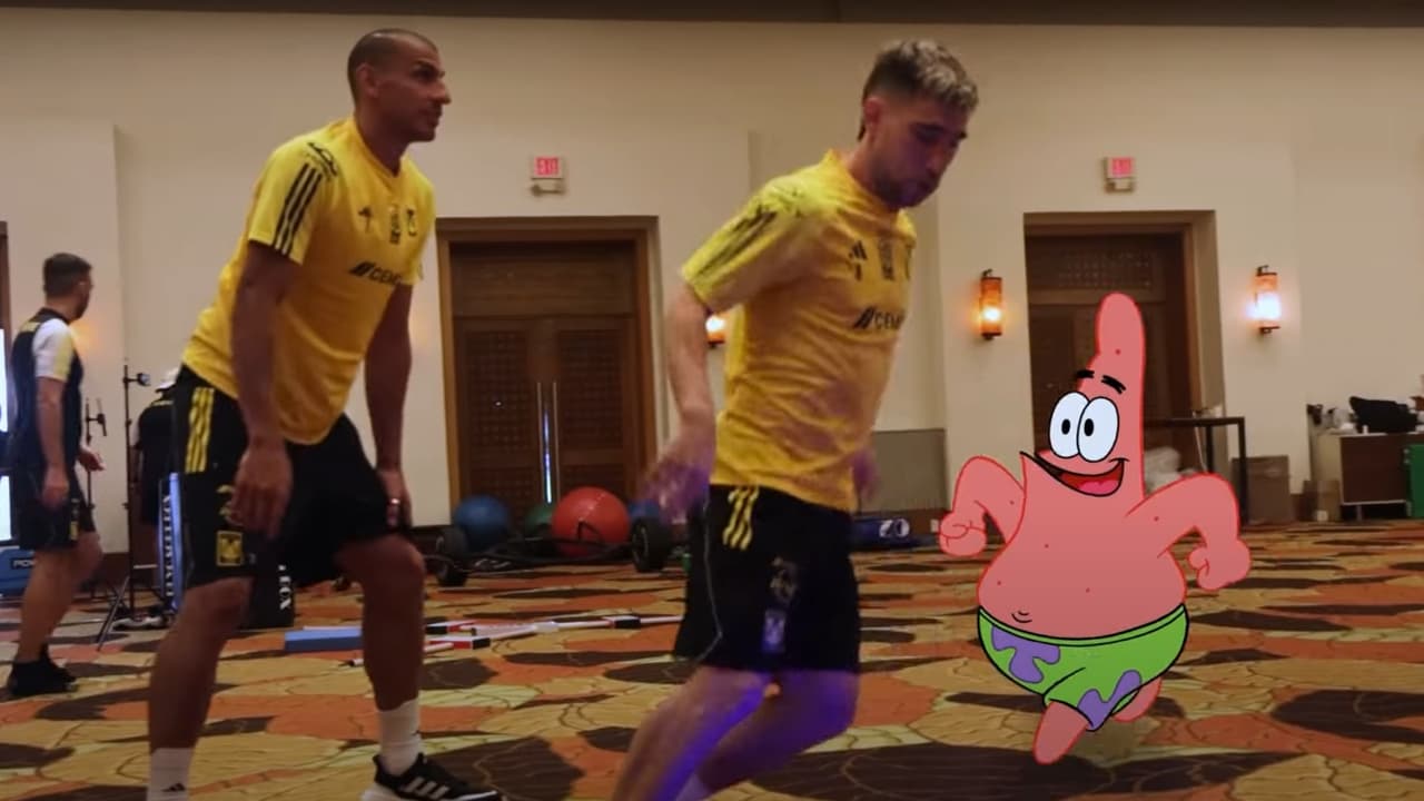 Tigres forma parte del universo de ¡Nickelodeon y Bob Esponja!