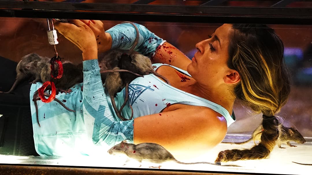 Tienen que estar muy concentrados para no dejarse dominar por el miedo.