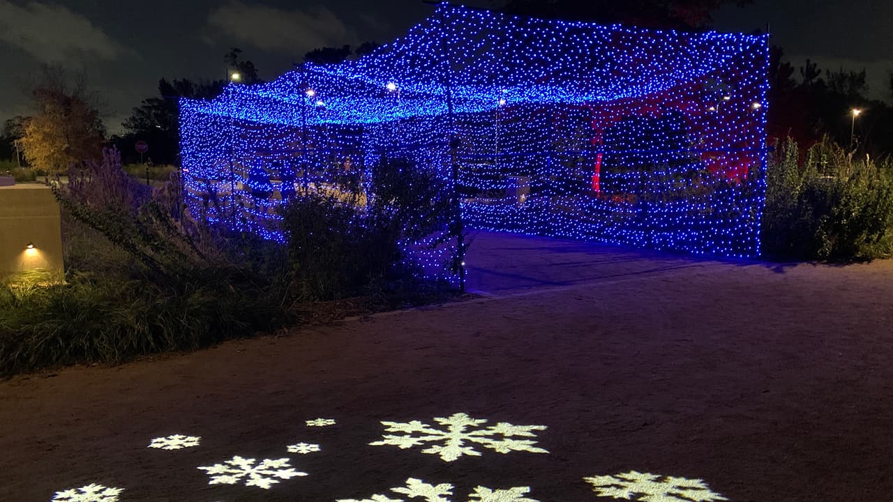 Las familias pueden caminar por el sendero iluminado para observar los nueve acres de magia navideña.