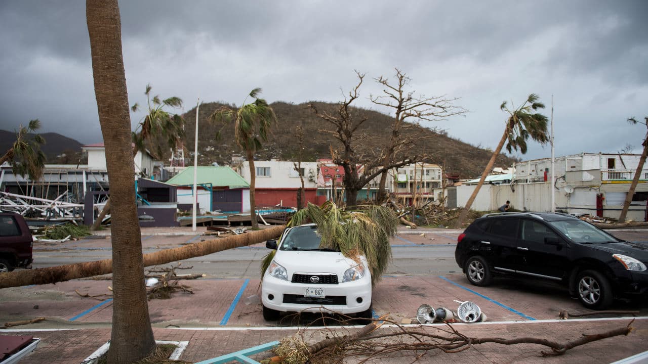 <b>El agua, palmeras y árboles</b> se convirtieron en el enemigo número uno de los autos.