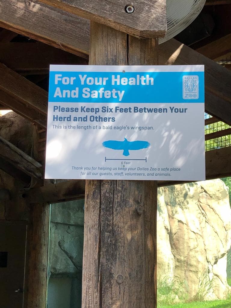 Reapertura del zoológico de Dallas