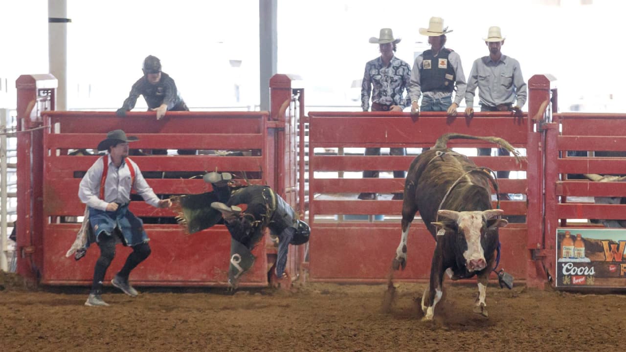 <b>Buckeye Days</b> da vida al oeste durante un fin de semana con un desfile de arreo de ganado, espectáculo del Lejano Oeste, rodeo y entretenimiento en vivo del 26 al 28 de enero en el centro de Buckeye:
<br>
<br>
<b>Viernes 26 de enero</b>
<br>- 9 am: Helzapoppin’ PRCA Rodeo, Buckeye Equestrian Center, 10300 S. Miller Road.
<br>
<br>Entrada y estacionamiento gratis.