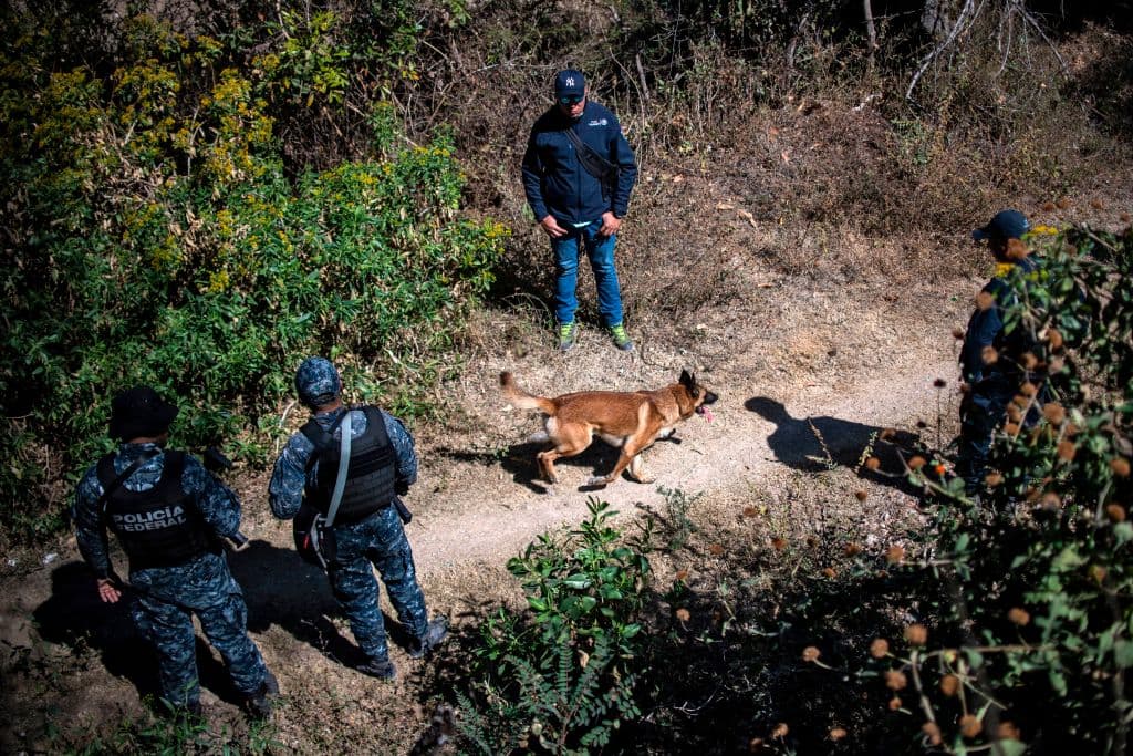 De las entidades con
<b>menos grupos delictivos</b> se encuentran
<b>Zacatecas, con cinco</b>.