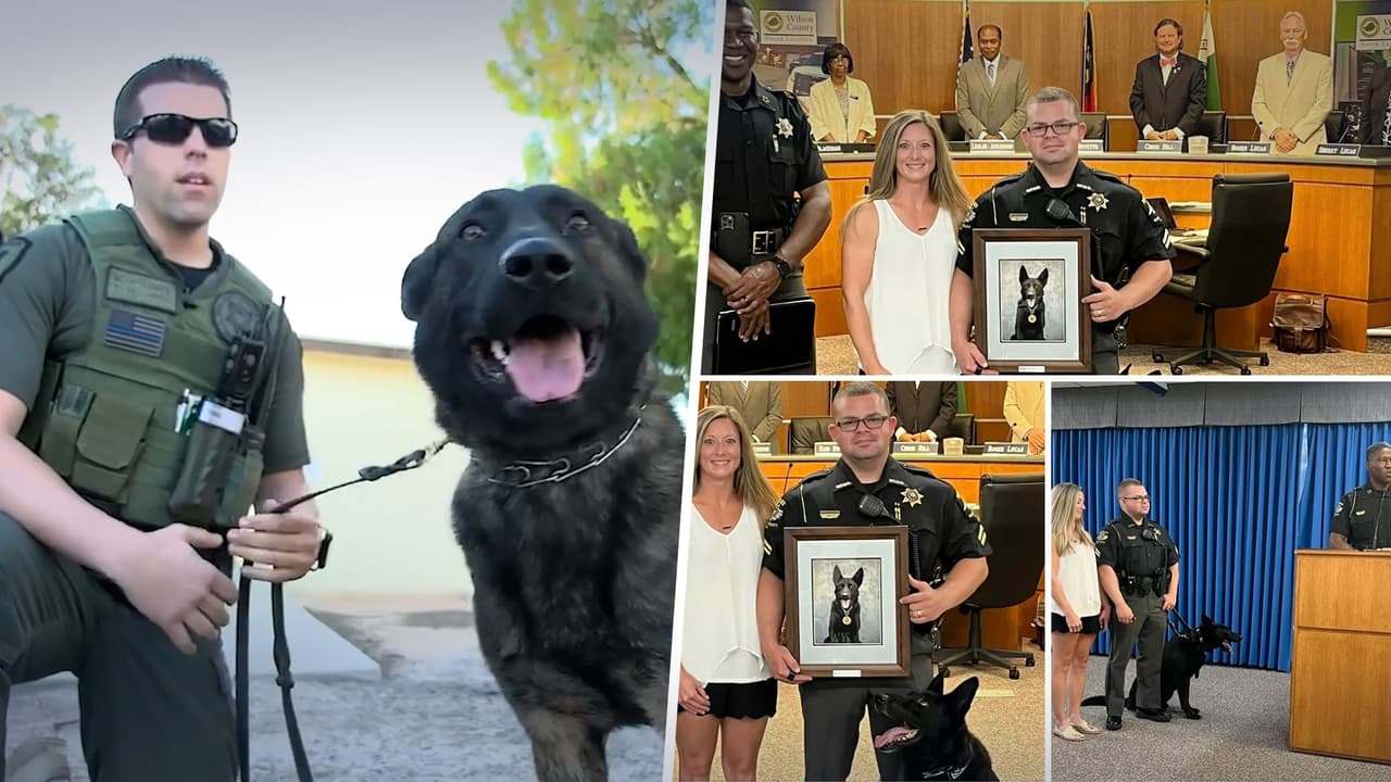 "Rex", el perro K-9 dice adiós a la policía de Wilson