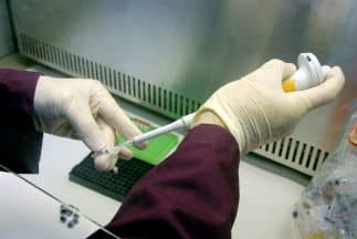 Más de 14 mil de perfiles genéticos servirán para robustecer las investigaciones penales en México.