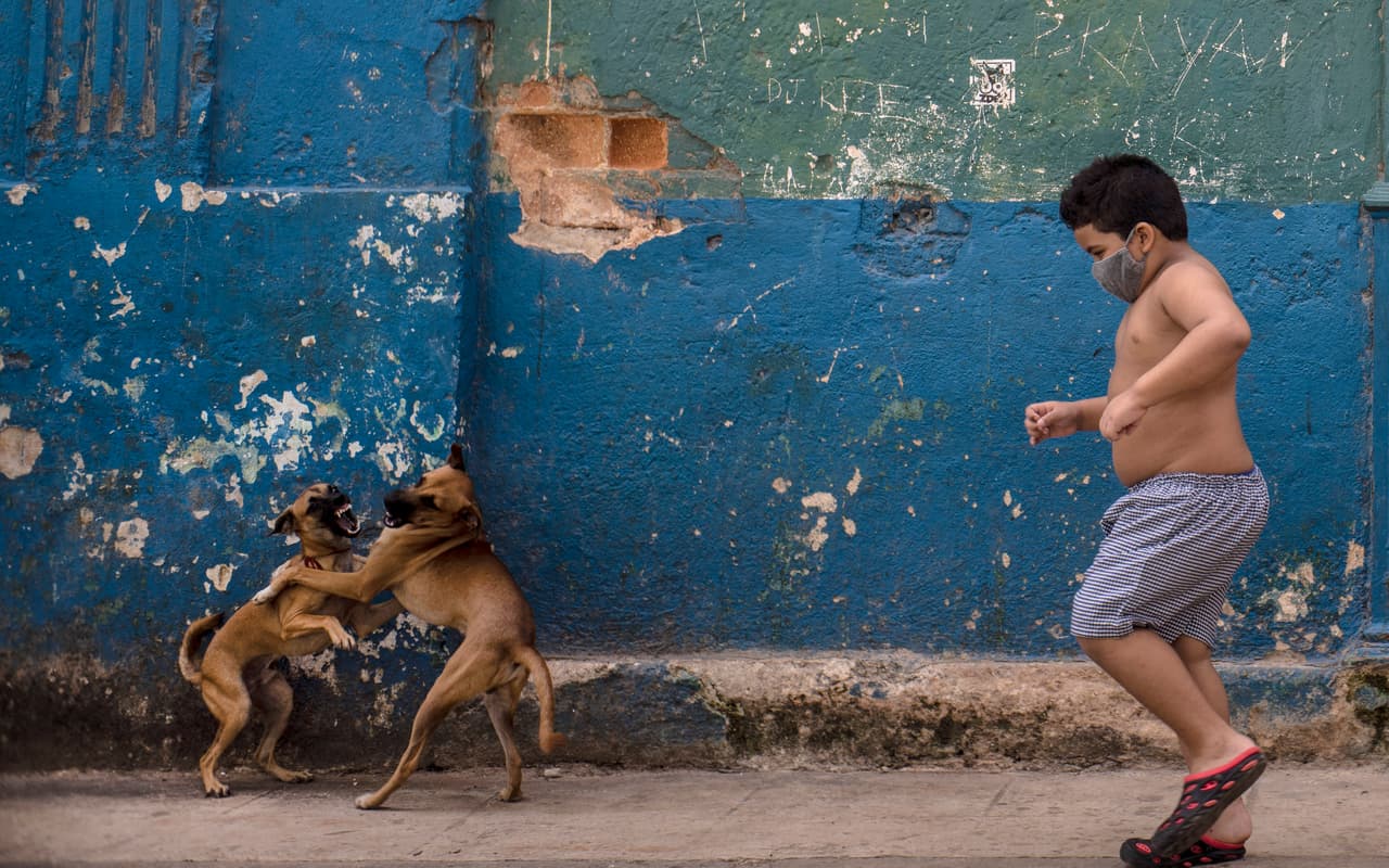 Cubanos, cansados de las sanciones de Trump y atentos a las elecciones en EEUU