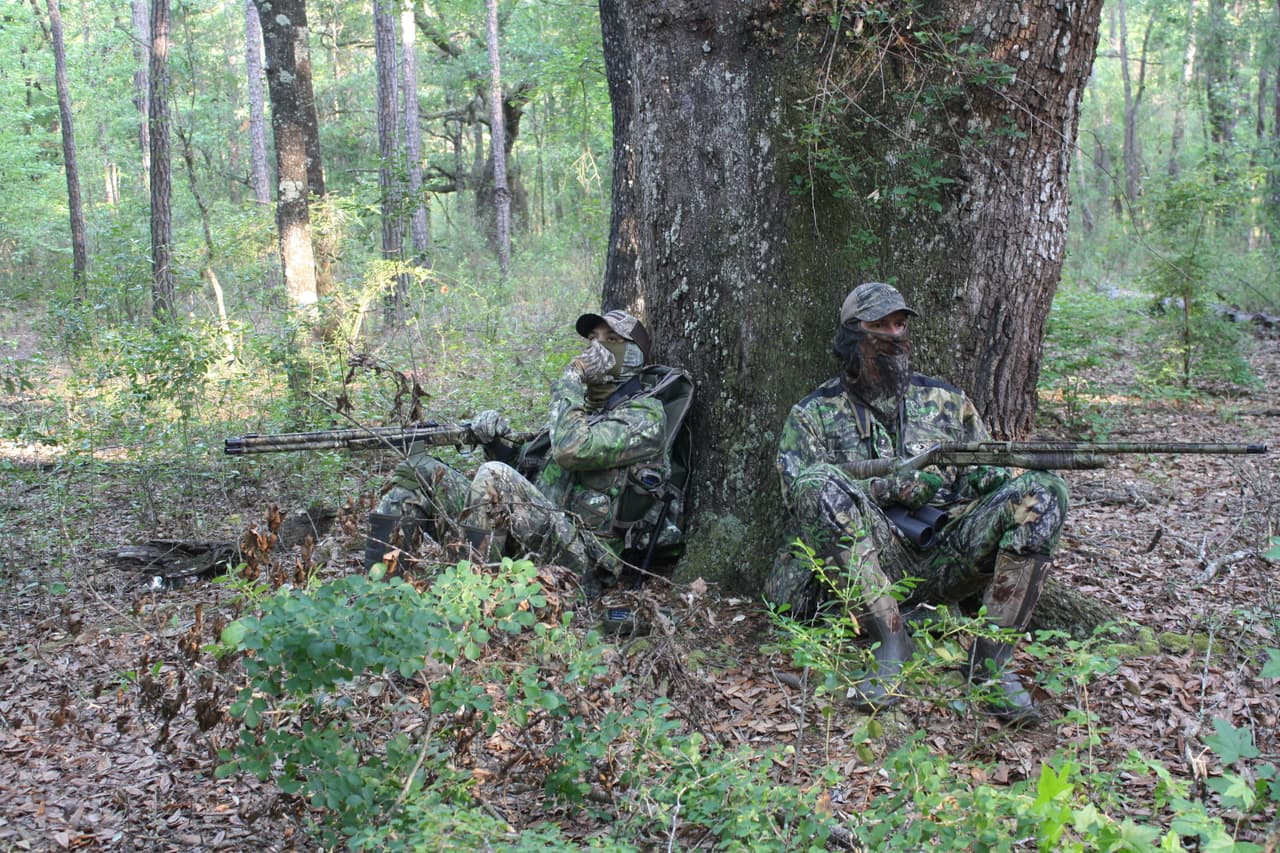 El FWC utiliza estrategias y experiencia profesional para cumplir con los objetivos de conservación y proporcionar oportunidades sostenibles de caza de pavos silvestres.