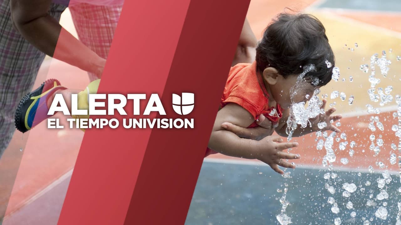 Ola de calor: este viernes "será uno de los días más calientes del verano" en Nueva York