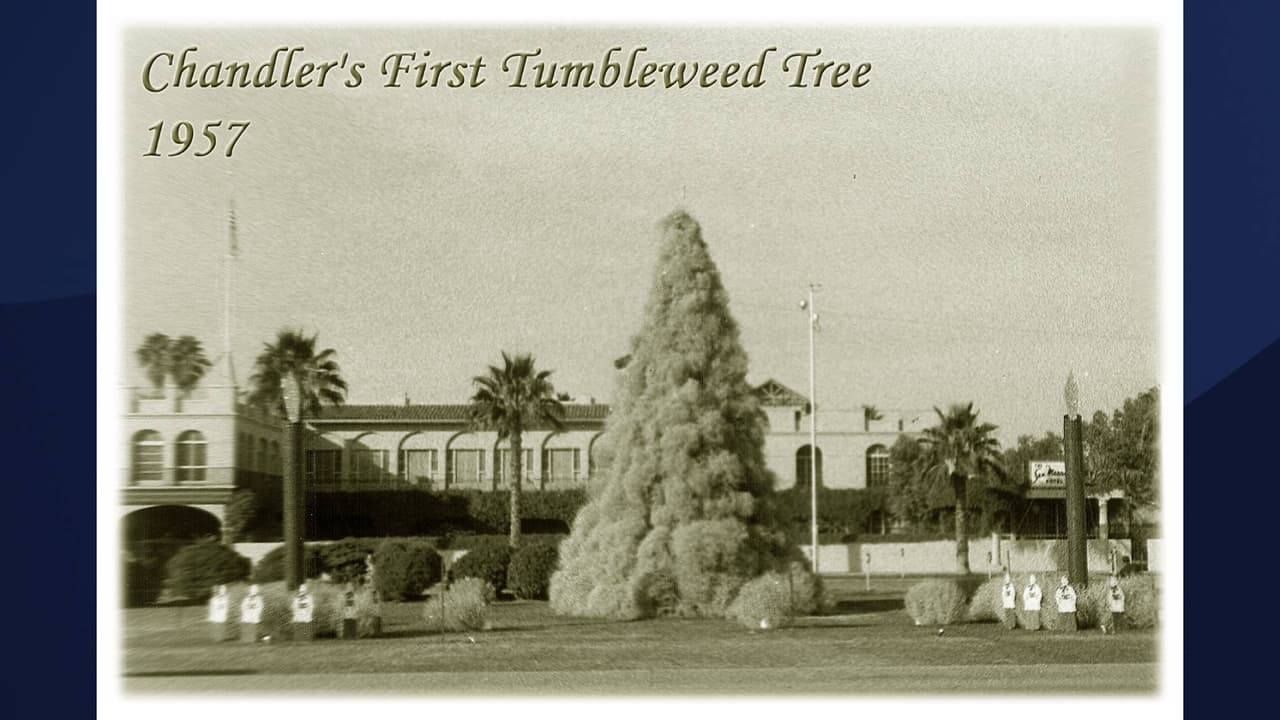 Desde 1957 la ciudad de Chandler ha creado un árbol de Navidad con plantas rodadoras del desierto. 
<br>