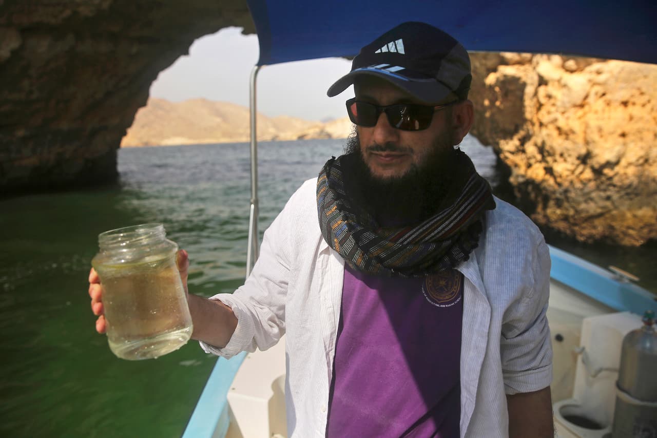 "El mar apesta", explica Khalid al-Hashmi, el biólogo marino que estudia el fenómeno. El hedor que emana de ellas es causado por la secreción de amoníaco, agrega el científico. (Sam McNeil/AP)
