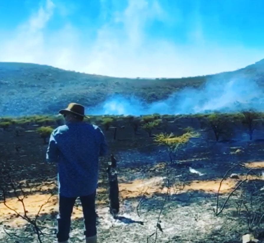 "Es un atentado no nada más a una persona, sino al balance ecológico y al medio ambiente", dijo en
<b><a href="https://www.instagram.com/p/CAn8Cc_nab8/" target="_blank">un video </a></b>que publicó en Instagram.
<br>