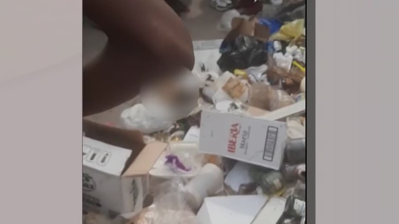 Indignación en Cuba tras el hallazgo de dos fetos entre la basura en Centro Habana