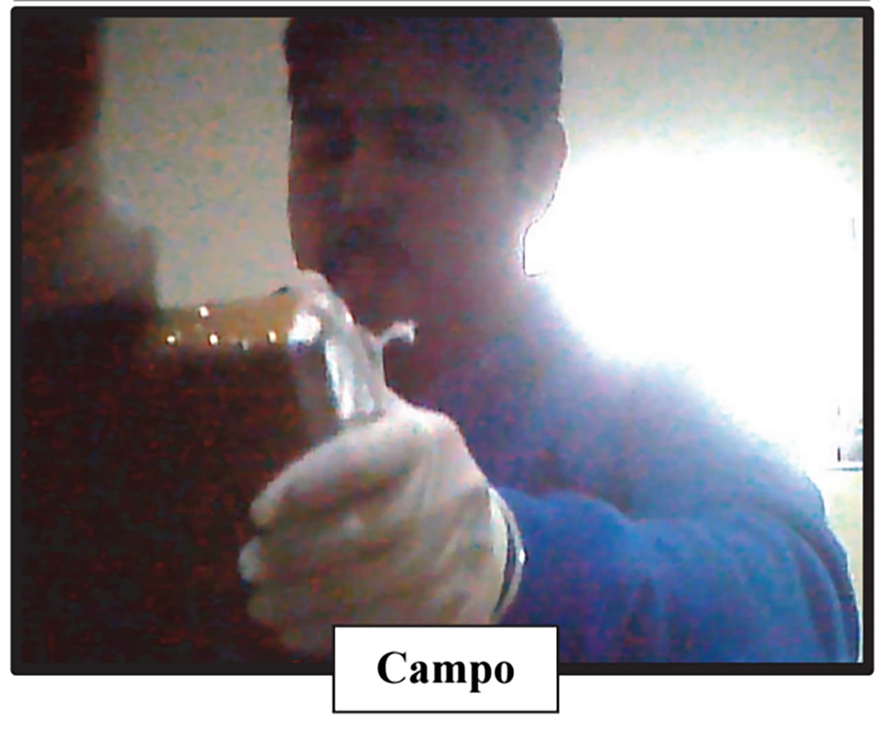 "(El avión) saldrá de aquí como si... fuera alguien de la familia": las confesiones de los sobrinos de Maduro a agentes infiltrados de la DEA