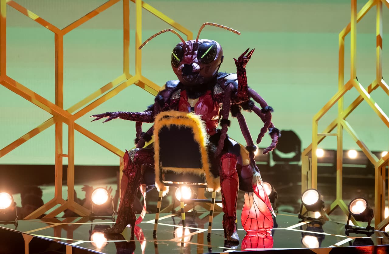 El segundo eliminado de ese show fue Avispa, quien fue la última en salir al escenario y tras demostrar sus dotes vocales, tocó el turno de escuchar la decisión de los investigadores.