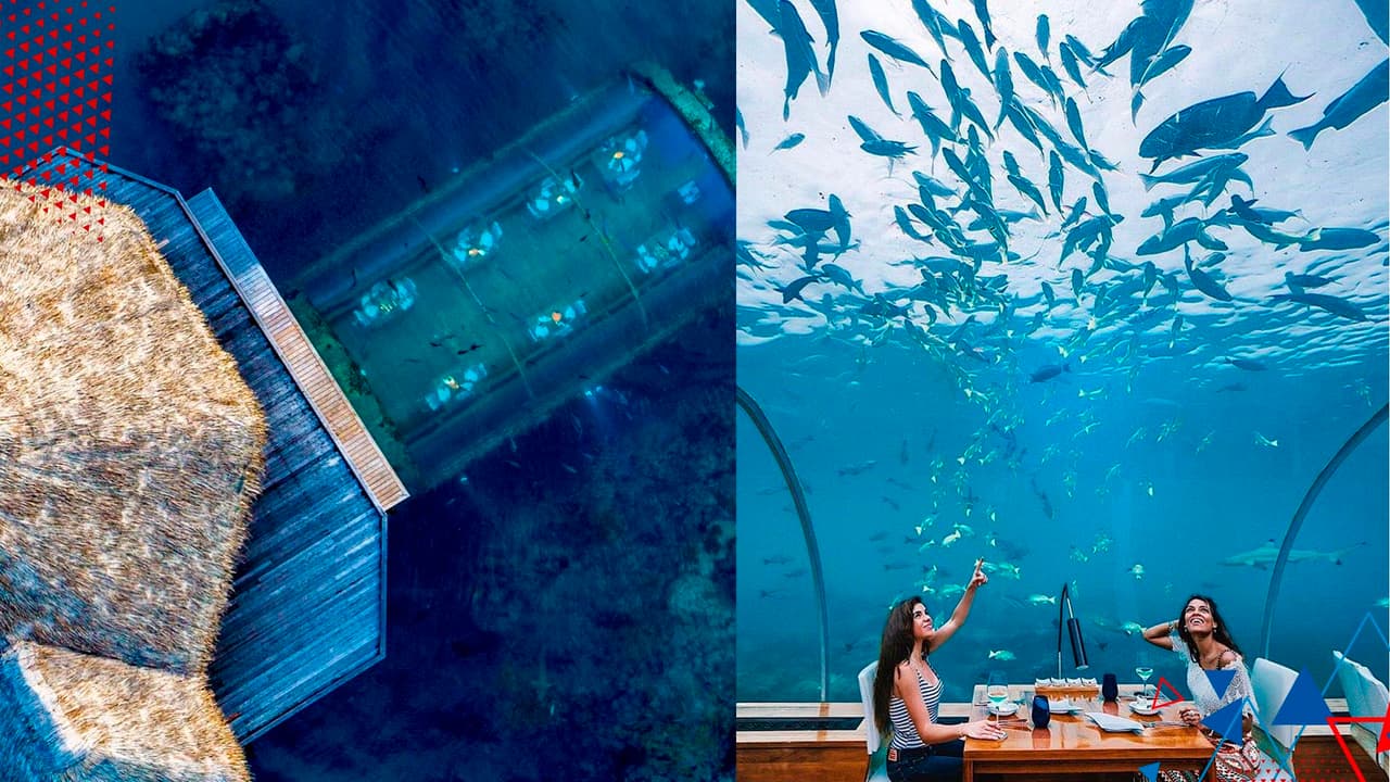 Precio de estadía en hotel submarino dejó a Omar y Argelia sin palabras