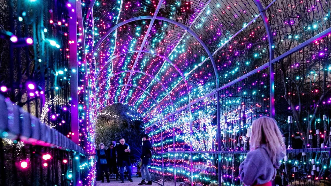<b>Festival of Illumination</b>
<br>Cuándo: 24 de noviembre al 7 de enero de 2024
<br>Dónde: Tucson Botanical Gardens, 2150 N. Alvernon Way, Tucson
<br>Costo: Desde $16
<br>
<a href="https://tucsonbotanical.org/event/lightsup/" target="_blank">Más detalles en este enlace.</a>