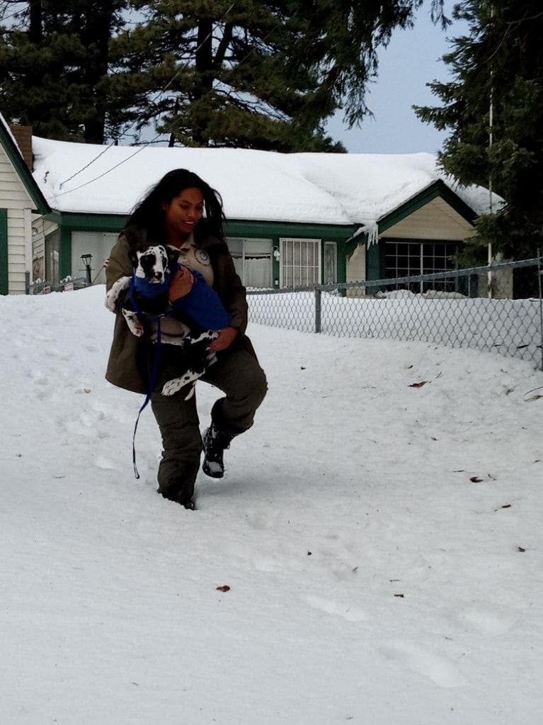 Cuidado de Animales del Condado de San Bernardino completó un total de 11 llamadas dentro de las comunidades montañosas, y también distribuyó 7 bolsas de comida para perros, 6 bolsas de comida para gatos, 6 pacas de heno y 2 bolsas de arena para gatos.
<br>