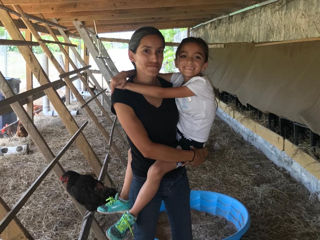 “He tenido problemas de robo ¡Pero nunca como este!, dijo la mujer sorprendida de la cantidad de aves que se llevaron de su granero.