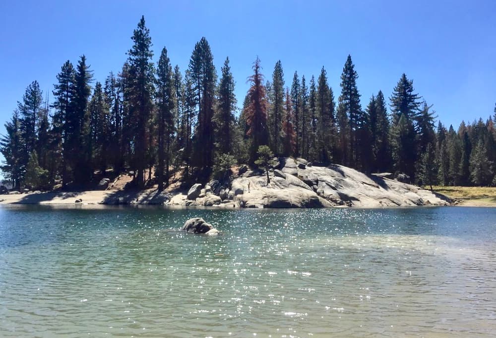 <b><a href="https://www.fs.usda.gov/detail/sierra/recreation/?cid=stelprdb5246153" target="_blank">Shaver Lake </a></b>
<br>Es un lago artificial en Stevenson Creek, en el Bosque Nacional Sierra del Condado de Fresno. El reservorio natural ofrece hermosos paisajes y diverción para toda la familia. Si te gusta la pesca o los paseos en bote, este lago debe estar en tu lista de destinos para tus próximas vacaciones.
<br>