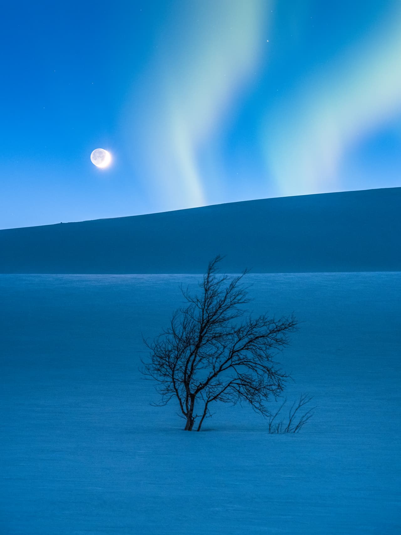 La hora azul. La luna creciente y Marte se ven sobre Saltfjellet en Noruega, mientras la Aurora boreal parece emanar de desde el paisaje nevado.