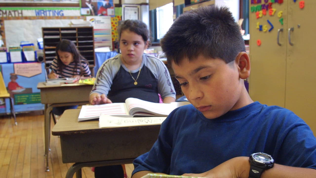 CPS proveerá condones gratis en las escuelas, desde la elemental hasta la secundaria