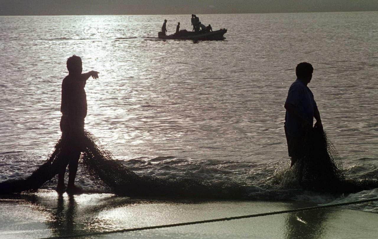 Playa Hornos, también en Guerero, obtuvo 657 NMP/100 ml. Esta playa es una de las favoritas de los turistas mexicanos debido a que posee arenas finas y oleaje de suave a moderado por temporadas con una peculiar barrera de palmeras.