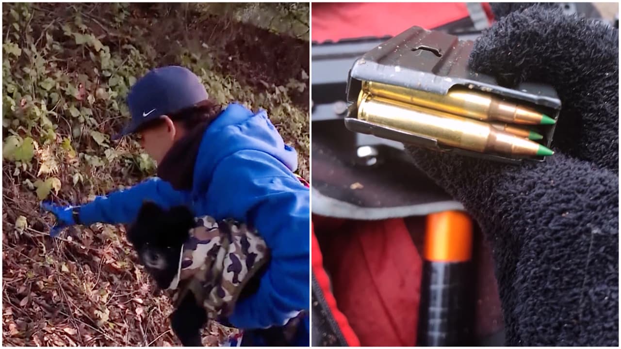 Perro descubre una mochila con arma y municiones cerca de una preparatoria en California