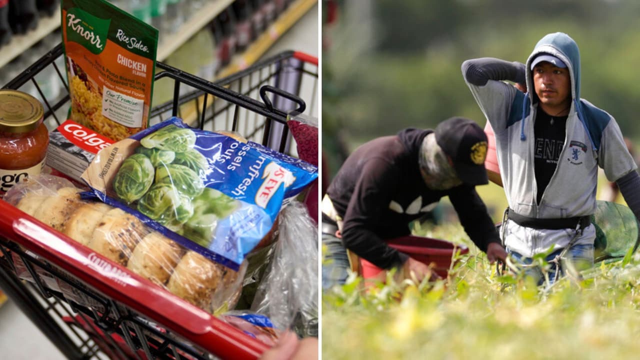 Alimentos gratis para trabajadores agrícolas en el Valle Central de California