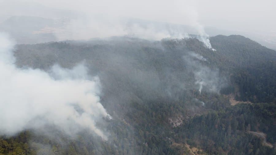 <h3 class="cms-H3-H3"><b>10.- Área de Protección de Flora y Fauna Corredor Biológico Chichinautzin</b></h3>
<br>
<b>Morelos</b>
<br>
<br>El incendio en esta zona comenzó desde finales de marzo, en el paraje denominado La Gloria, que forma parte de la zona natural protegida, cerca de Las Lagunas de Zempoala. 
<br>
<br>Aunque las Brigadas de Incendios Forestales y Protección Civil lograron sofocar el incendio, se reactivó días después y se extendió por la reserva ecológica e incluso está llegando a la zona poblada.
<br>
<br>Esta área cuenta con una notable diversidad de hábitats y especies. Abarca 12 municipios de Morelos, uno en el Estado de México y las alcaldías de Milpa Alta y Tlalpan al sur de la Ciudad de México.