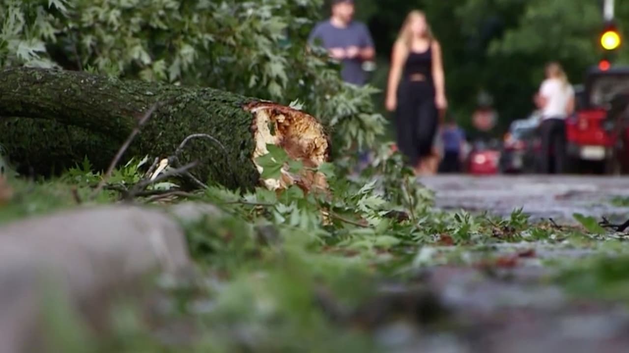 Confirman que un tornado tocó tierra en el barrio Rogers Park de Chicago durante las tormentas del lunes