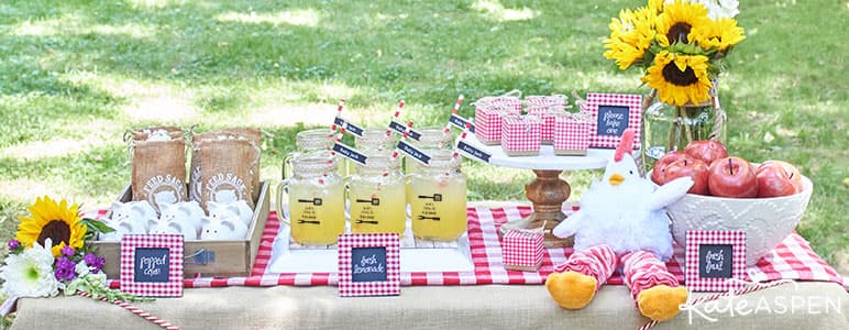 Un bbq es una idea fabulosa para un babyshower