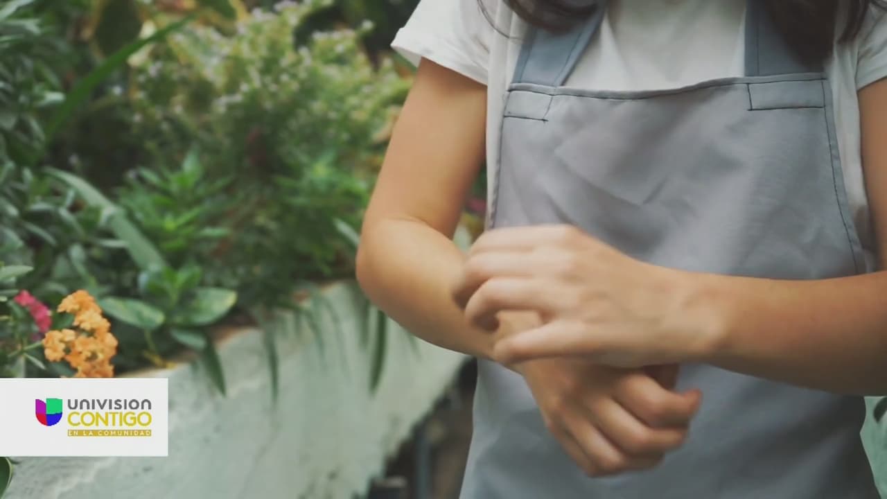 Síntomas de las alergias estacionales