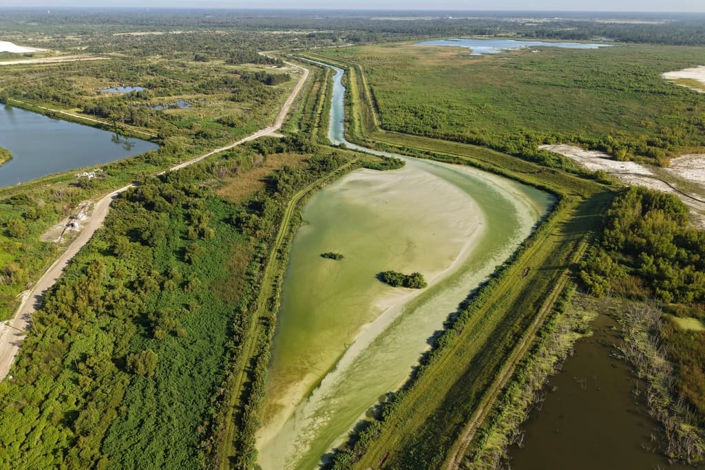 Empresas embotelladoras pagan apenas 115 dólares por un permiso perpetuo para extraer millones de galones de agua, aunque contribuyen con impuestos locales, como los 600,000 dólares anuales de Blue Triton en Zephyrhills.