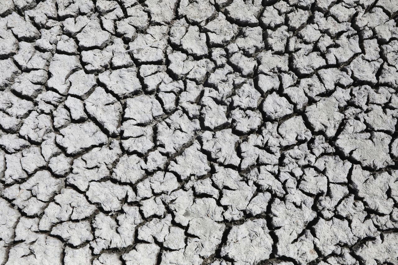 El lago es fuente de alimentos para unas
<b>10 millones de aves migratorias</b> y el descenso de los niveles del agua puede amenazar todo el ecosistema del lugar.