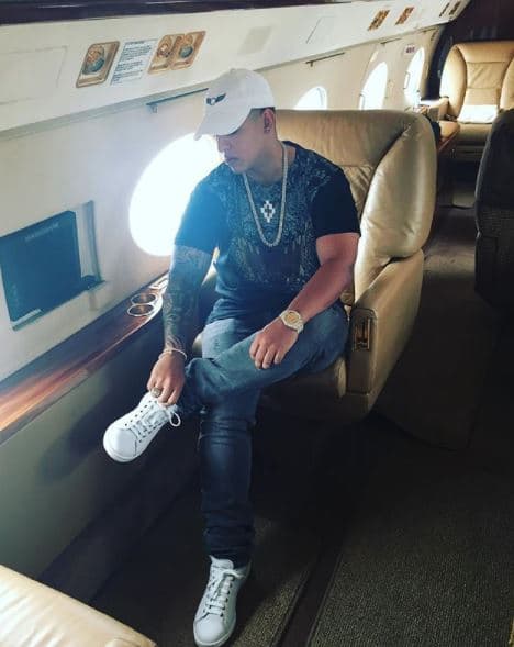 El primer amor de Daddy Yankee fue el béisbol,
<b> sueño truncado por una bala perdida</b> que recibió en la cadera a los 17 años. Sin embargo, su dedicación por la música le ha dado éxitos, satisfacciones y le ha permitido lujo y extravagancias. Como él mismo ha declarado; no logró ser beisbolista, pero sí un cantante de grandes ligas.