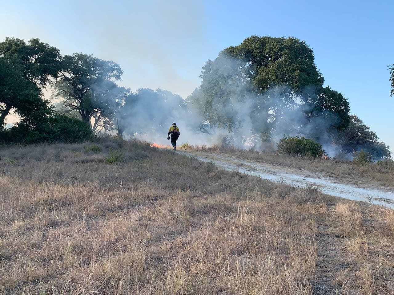 Austin es la quinta ciudad más alta de la nación con riesgo de incendios forestales