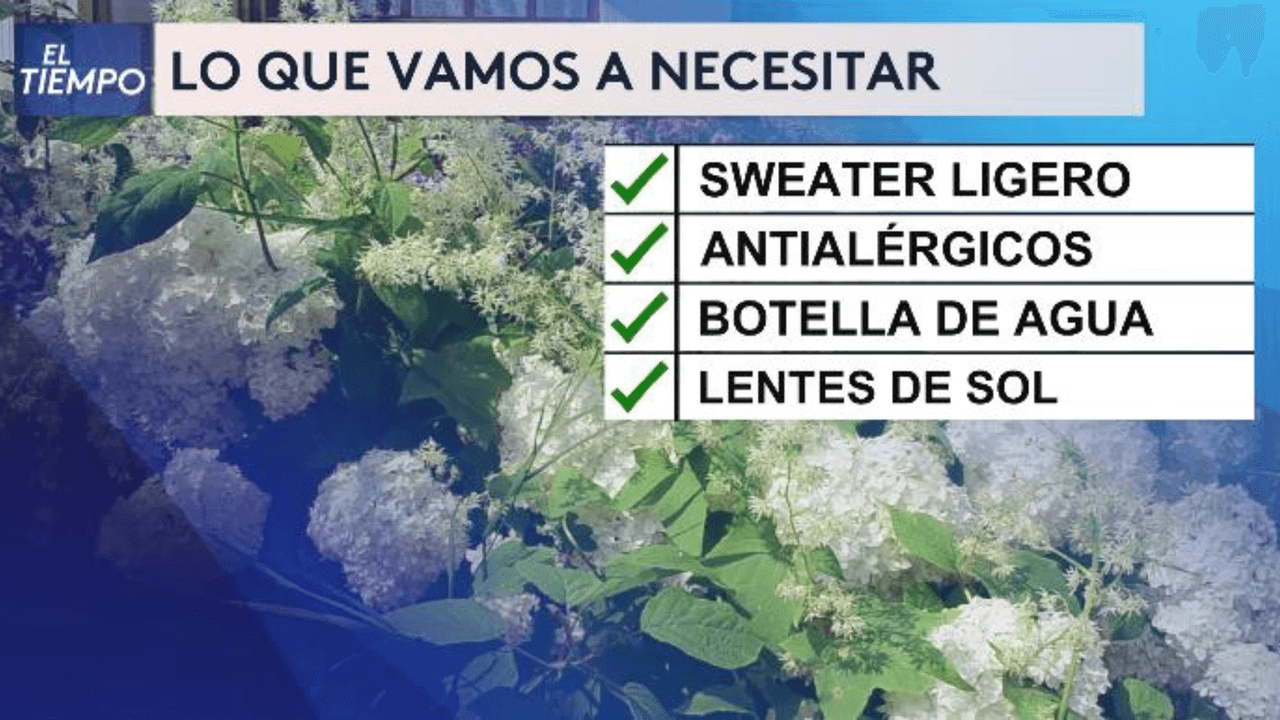 Aquí puedes ver algunos artículos que vas a necesitar durante el día.