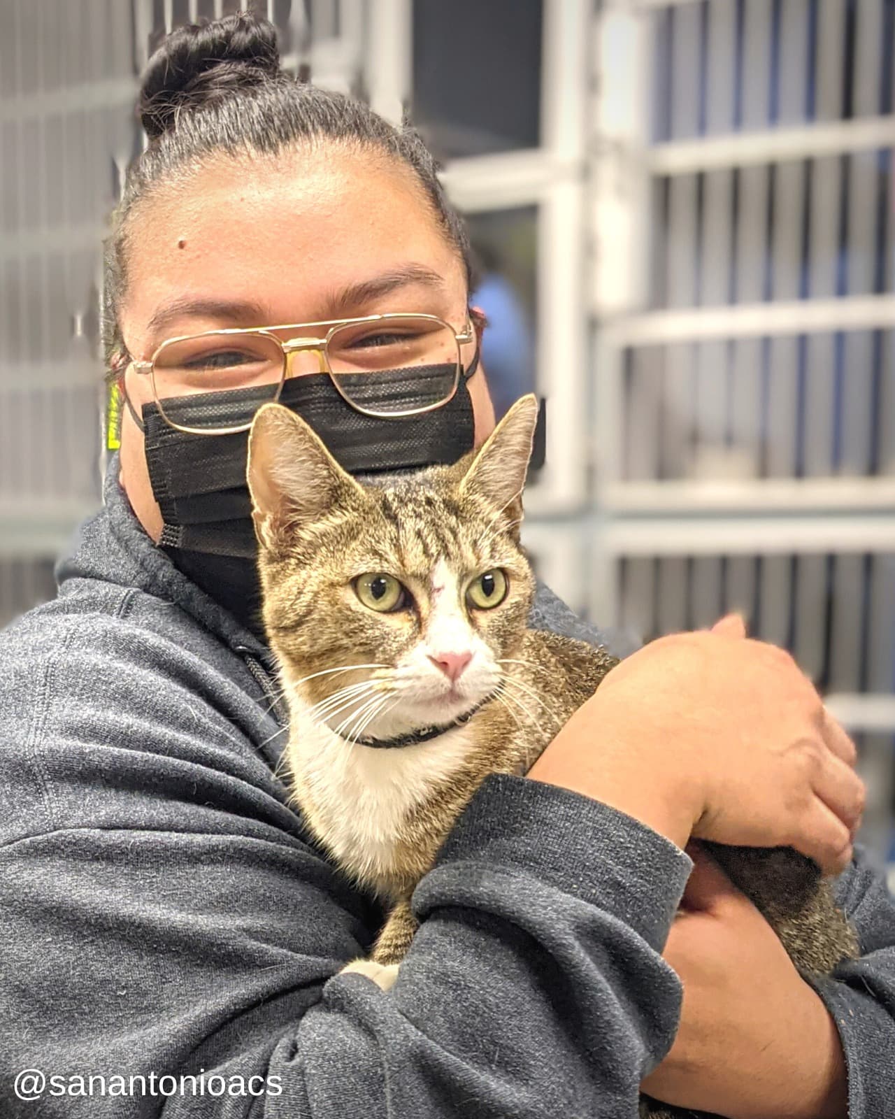 Monkey Face es una gatita texana que estuvo perdida por 6 años.