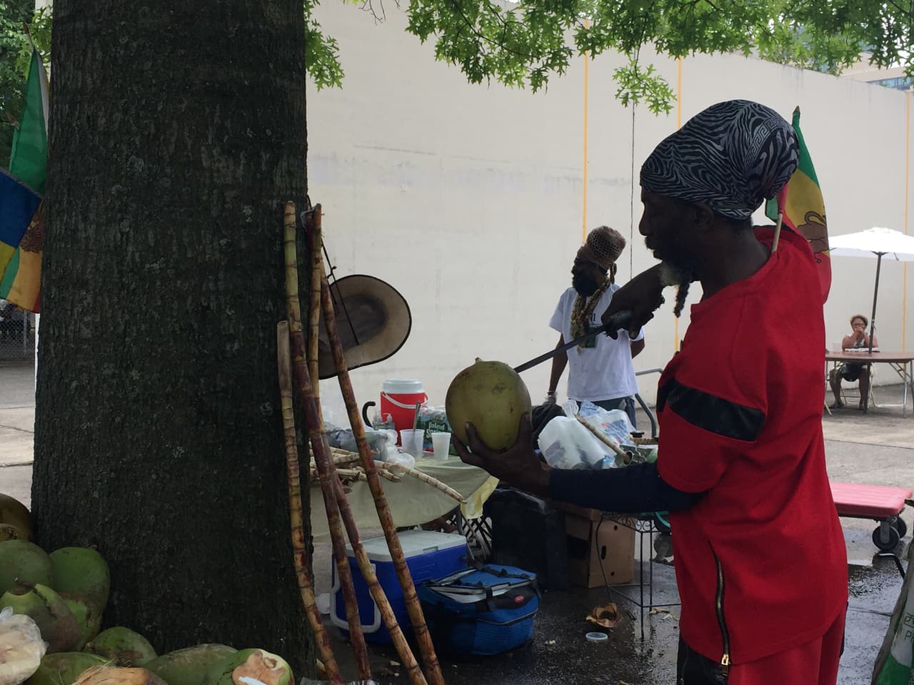 El Estado Jardín también tiene una importante población africana.