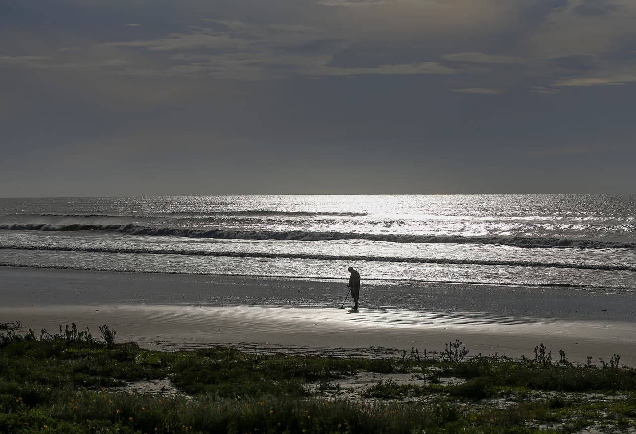 Así que la próxima vez que estés caminando por la arena de Galveston o la Península Bolívar, observa muy bien porque pudieras encontrarte con una.