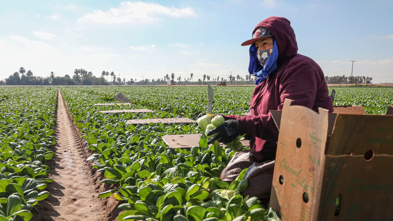 Así puedes pedir una compensación de salario por los días que no trabajaste por covid-19 en California