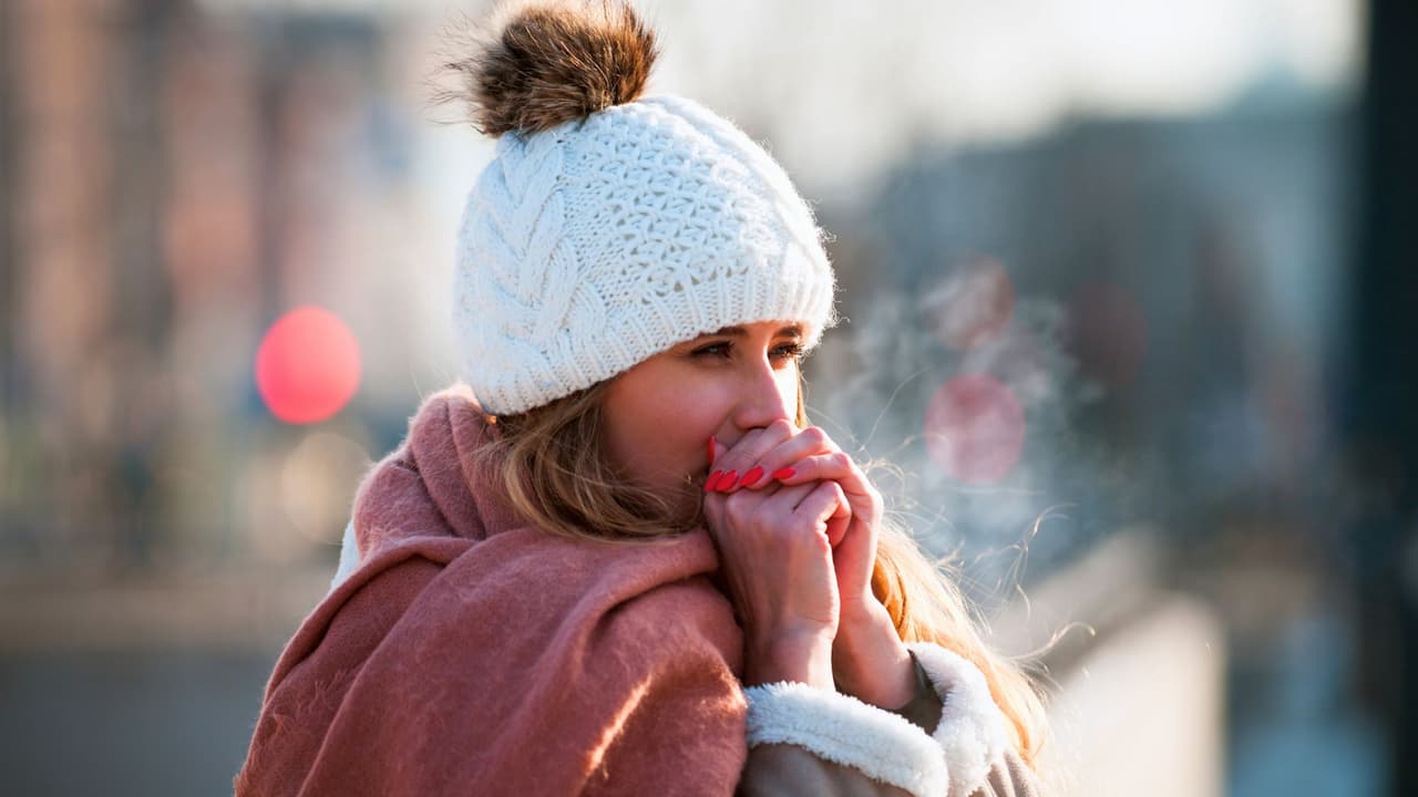 <b><a href="https://www.univision.com/local/dallas-kuvn/frente-frio-artico-temperaturas-helada-lluvia-clima-tiempo-norte-de-texas-dallas-fort-worth-fotos" target="_blank">Un frente ártico llega a Texas:</a> </b>traerá temperaturas alrededor del punto de congelación y una sensación térmica helada, por lo que es fundamental tomar medidas para proteger tu hogar, tu familia, tus plantas y tus mascotas. A continuación,
<b>te ofrecemos 10 consejos clave para mantener a salvo a tu familia y propiedades ante las bajas temperaturas.</b>