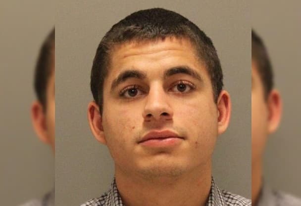 Condenan a 16 años de cárcel a un hombre que mató a 21 gatos en California