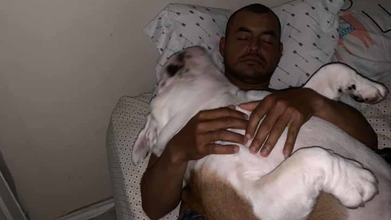 Eduardo Alejandro Beltrán. "Son los mejores amigos que un ser humano puede tener, en ese corazón no hay interés (al dinero lujos plaseres ambición) en el corazón de ellos sólo hay amor sincero el más puro amor del mundo que no hay un ser humano en el mundo que te de el amor, la amistad, el respeto, el cariño más sicero que una mascota sin pedir nada a cambio sólo tu amor".