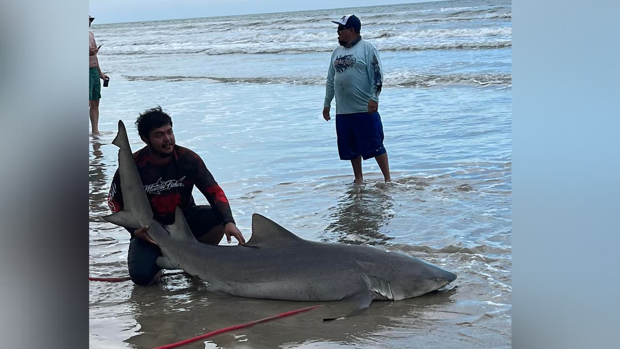 Las playa de Surfside es un de los lugares que la familia de Tipto visita regulamente.