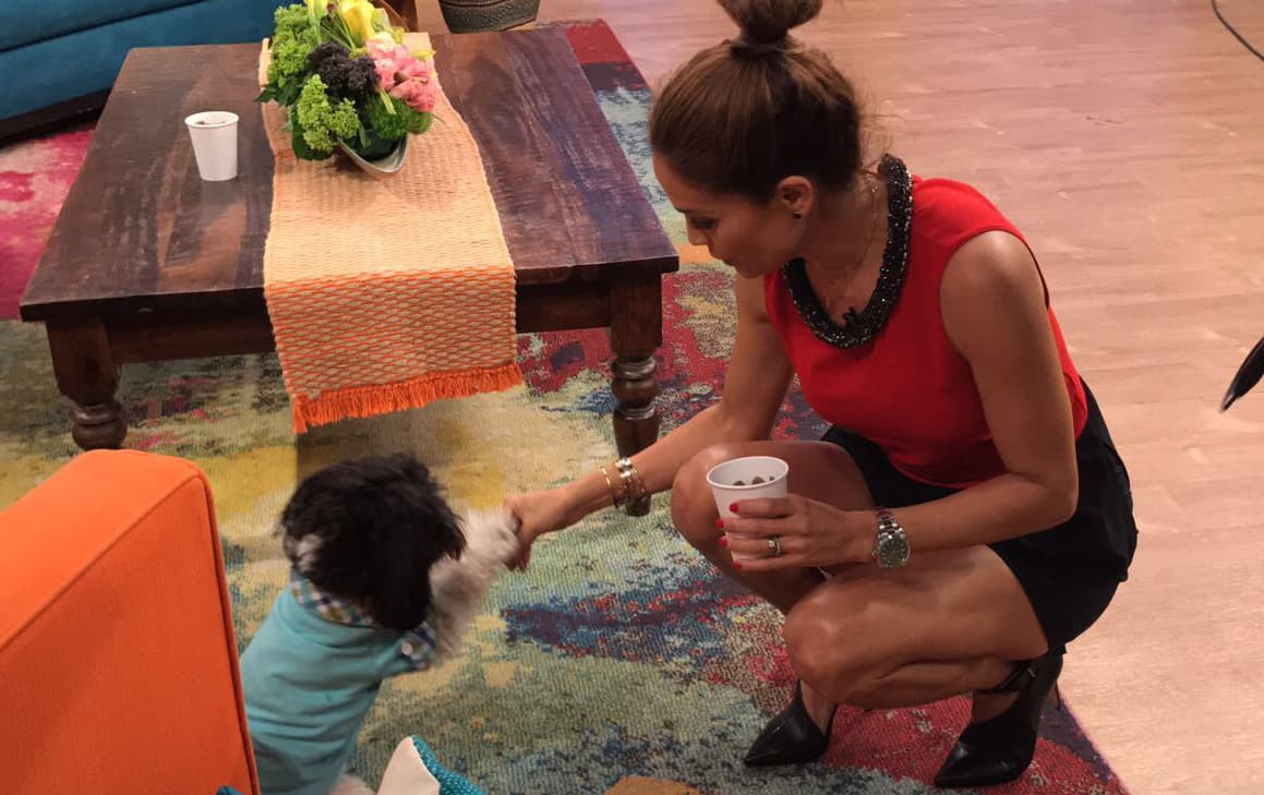 Y aprovechaba cada instante para jugar con él.