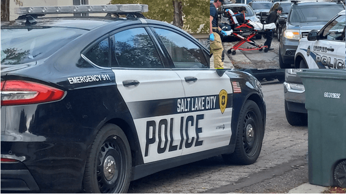 Persecución por aire y tierra para detener a sospechoso que robó camión con remolque 