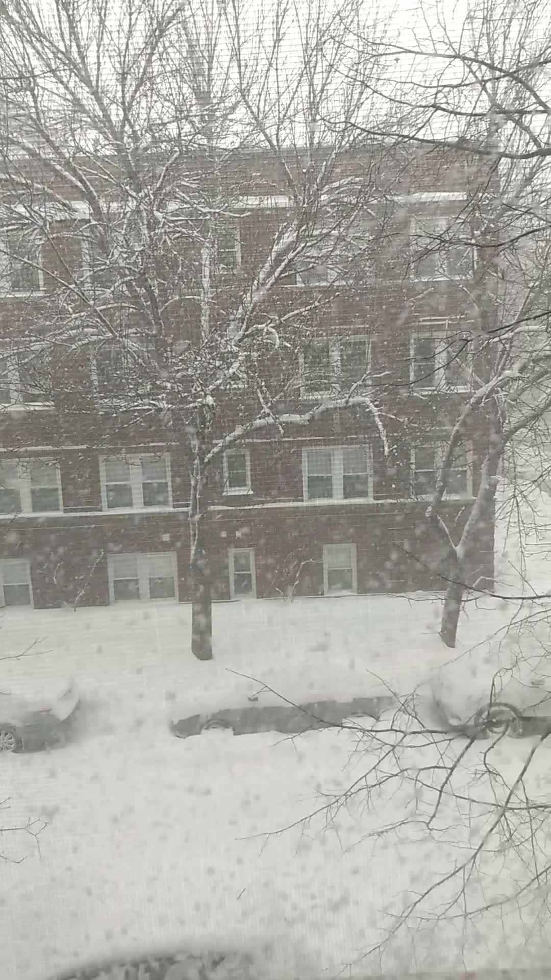 Así es como está nevando en el vecindario de Rogers Park.