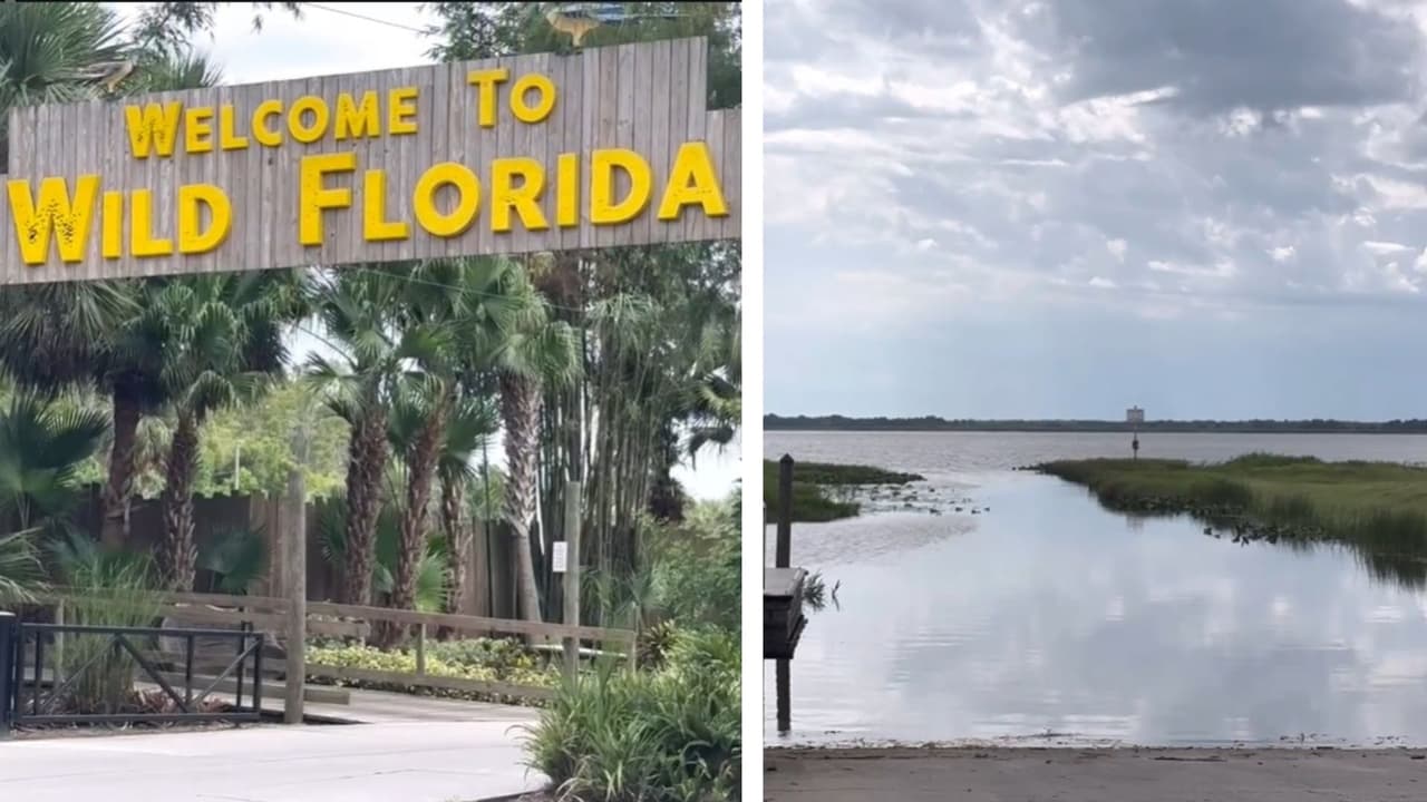 Choque de dos hidrodeslizadores en el condado Osceola deja al menos 11 personas en el hospital