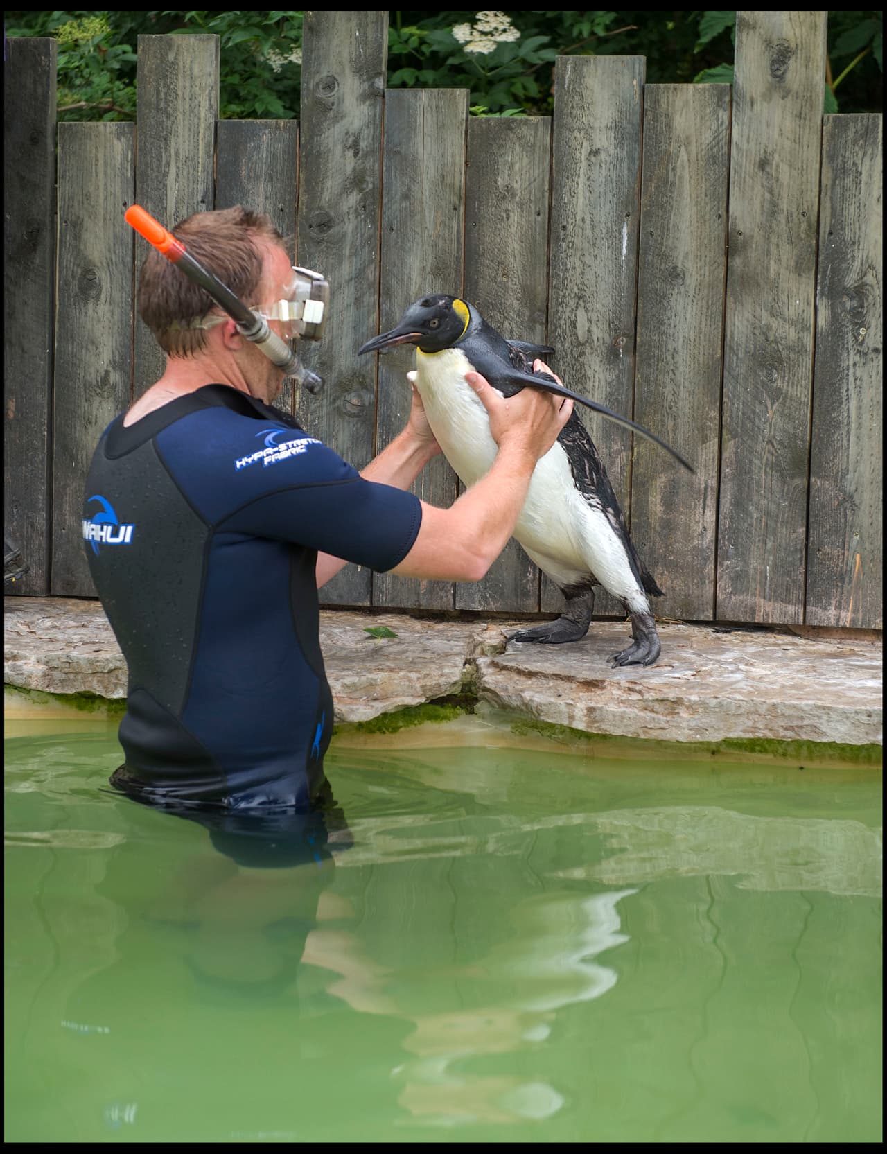 La pequeña se petrifica cuando está cerca del agua.